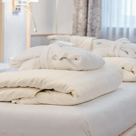 Hotel Sletz Parkhotel